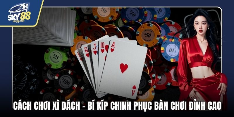 cách chơi xì dách