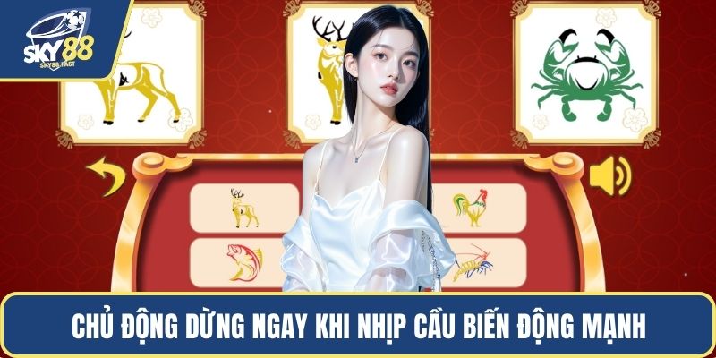 Chủ động dừng ngay khi nhịp cầu biến động mạnh