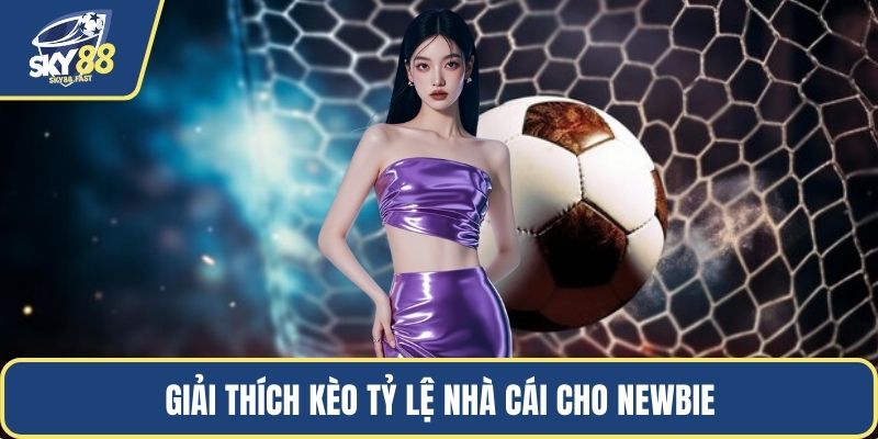 Giải thích kèo tỷ lệ nhà cái cho newbie