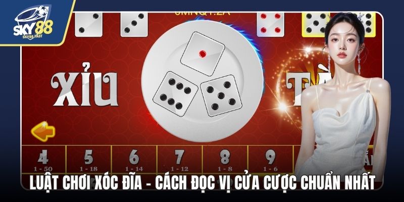 luật chơi xóc đĩa