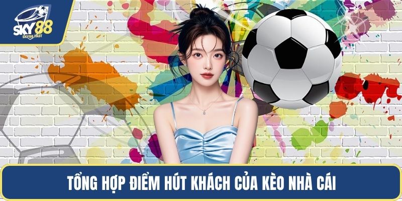 Tổng hợp điểm hút khách của kèo nhà cái